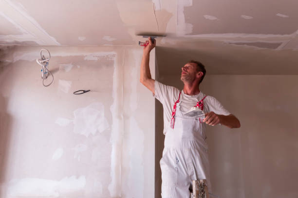 Best Fire-Damaged Drywall Repair  in Hollidaysburg, PA